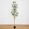 82-in Artificial Olive Tree – Tall, Rustic & Lifelike Décor Accent 2 82-in Artificial Olive Tree – Tall, Rustic & Lifelike Décor Accent -Eds Plant Shop 82 artificial olive tree tall rustic lifelike decor accent 276168