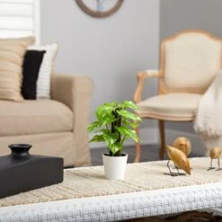 9-in Artificial Pothos Plant In White Planter (Real Touch) 9 9-in Artificial Pothos Plant In White Planter (Real Touch) -Eds Plant Shop 9 artificial pothos plant in white planter real touch 156858