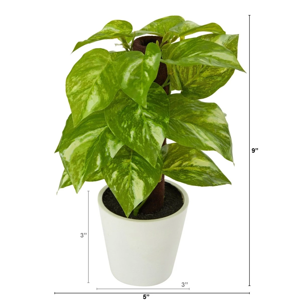 9-in Artificial Pothos Plant In White Planter (Real Touch) 4 9-in Artificial Pothos Plant In White Planter (Real Touch) - Image 2