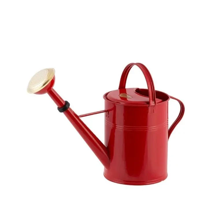 9 Liter- PLINT Watering Can With Removable Sprinkler Head 5 9 Liter- PLINT Watering Can With Removable Sprinkler Head - Image 3