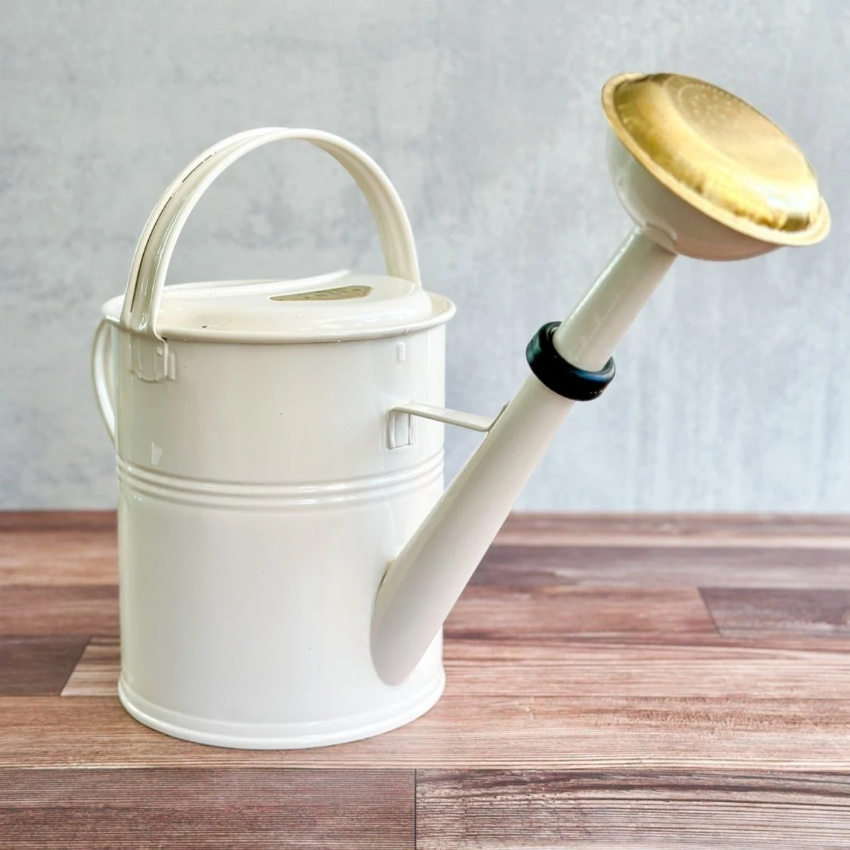 9 Liter- PLINT Watering Can With Removable Sprinkler Head 15 9 Liter- PLINT Watering Can With Removable Sprinkler Head - Image 13