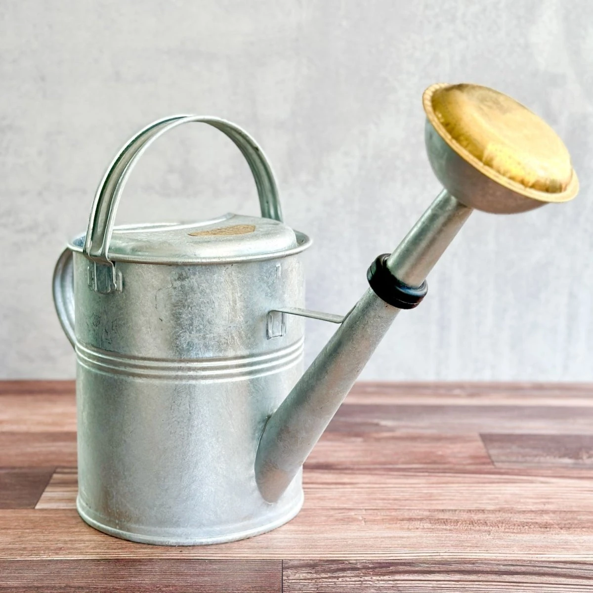 9 Liter- PLINT Watering Can With Removable Sprinkler Head 12 9 Liter- PLINT Watering Can With Removable Sprinkler Head - Image 10
