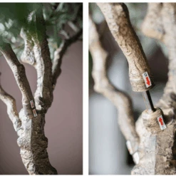 90″ Extra Large Artificial Olive Tree – Realistic Faux Décor -Eds Plant Shop 90 extra large artificial olive tree realistic faux decor 948447