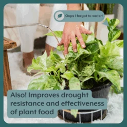 Thrive Bundle (Online Only) (Plant Food + Probiotics) For HOUSEPLANTS 11 Thrive Bundle (Online Only) (Plant Food + Probiotics) For HOUSEPLANTS -Eds Plant Shop IPS 5 ba4bb5bc 7f13 4d0d abe2 b6290b26a66c