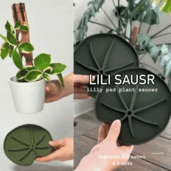 Lili Saucer – Stylish Lily Pad Plant Saucer For Drainage, Root Rot Prevention & Humidity -Eds Plant Shop Lili Sausr Green Medium size video