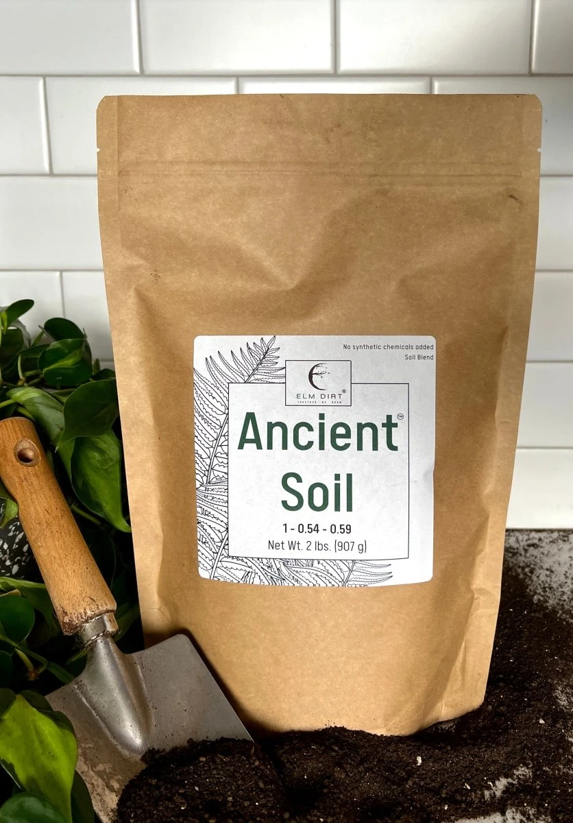 Ancient Soil - Premium Soil For Houseplants 7 Ancient Soil - Premium Soil For Houseplants - Image 5