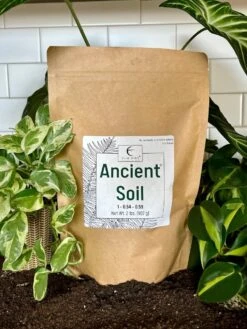 Ancient Soil - Premium Soil For Houseplants 16 Ancient Soil - Premium Soil For Houseplants -Eds Plant Shop ancient soil premium soil for houseplants 336777