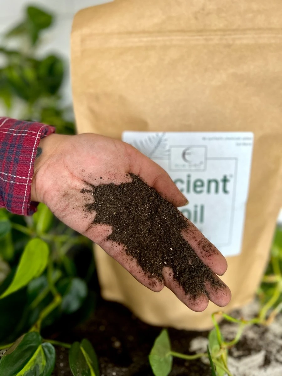 Ancient Soil - Premium Soil For Houseplants 6 Ancient Soil - Premium Soil For Houseplants - Image 4