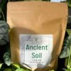 Ancient Soil - Premium Soil For Houseplants 2 Ancient Soil - Premium Soil For Houseplants -Eds Plant Shop ancient soil premium soil for houseplants 682853