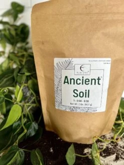 Ancient Soil - Premium Soil For Houseplants 20 Ancient Soil - Premium Soil For Houseplants -Eds Plant Shop ancient soil premium soil for houseplants 951013