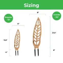 Anthrulla - Anthurium Inspired Plant Trellis 16 Anthrulla - Anthurium Inspired Plant Trellis -Eds Plant Shop anthrulla anthurium inspired plant trellis 306914