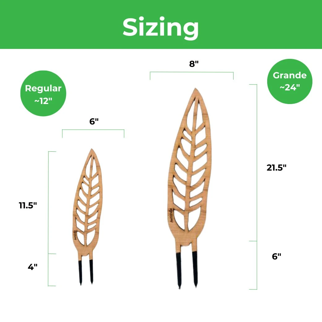 Anthrulla - Anthurium Inspired Plant Trellis 7 Anthrulla - Anthurium Inspired Plant Trellis - Image 5