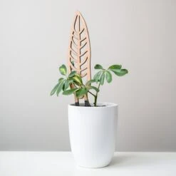 Anthrulla - Anthurium Inspired Plant Trellis 19 Anthrulla - Anthurium Inspired Plant Trellis -Eds Plant Shop anthrulla anthurium inspired plant trellis 415988