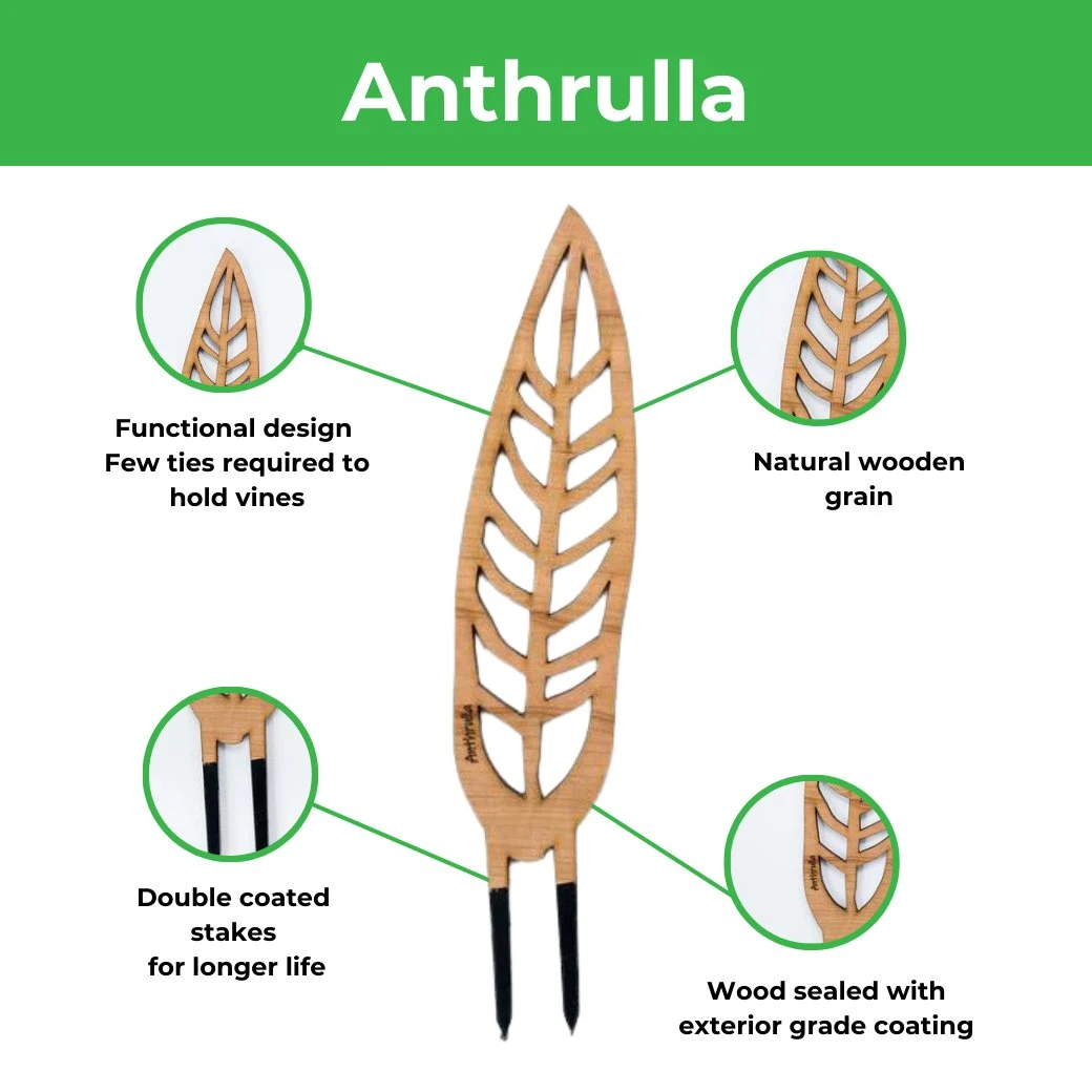 Anthrulla - Anthurium Inspired Plant Trellis 6 Anthrulla - Anthurium Inspired Plant Trellis - Image 4