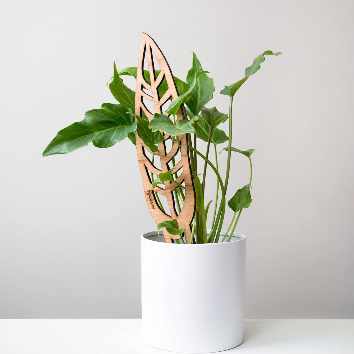 Anthrulla - Anthurium Inspired Plant Trellis 11 Anthrulla - Anthurium Inspired Plant Trellis - Image 9