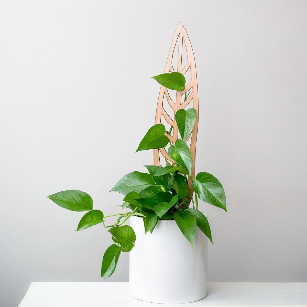 Anthrulla - Anthurium Inspired Plant Trellis 8 Anthrulla - Anthurium Inspired Plant Trellis - Image 6
