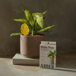 Arber Sticky Traps – 16-Pack Plant Pest Control -Eds Plant Shop arber sticky traps 16 pack plant pest control 8881728