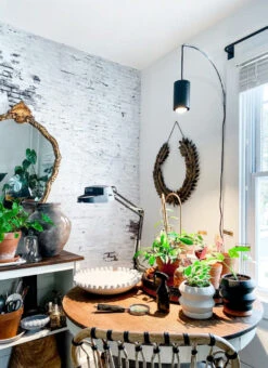 Archetto - Transparent Wall Mount For Plant Lighting -Eds Plant Shop archetto transparent wall mount for plant lighting 316321