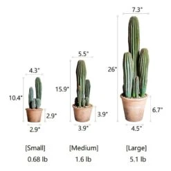 Artificial Cactus In Brown Pot – Realistic Faux Plant (3 Sizes) -Eds Plant Shop artificial cactus in brown pot realistic faux plant 3 sizes 916322