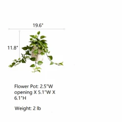 Artificial Devil's Ivy Plant In White Pot 15 Artificial Devil's Ivy Plant In White Pot -Eds Plant Shop artificial devils ivy plant in white pot 114406