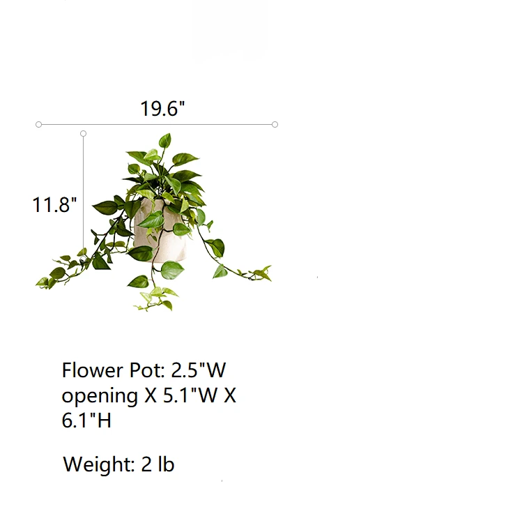 Artificial Devil's Ivy Plant In White Pot 9 Artificial Devil's Ivy Plant In White Pot - Image 7