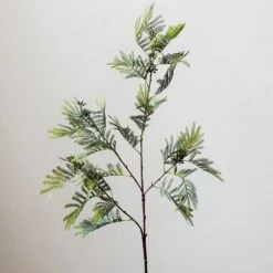 Artificial Faux Acacia Plant Stem 47" Tall 19 Artificial Faux Acacia Plant Stem 47" Tall -Eds Plant Shop artificial faux acacia plant stem 47 tall 401742