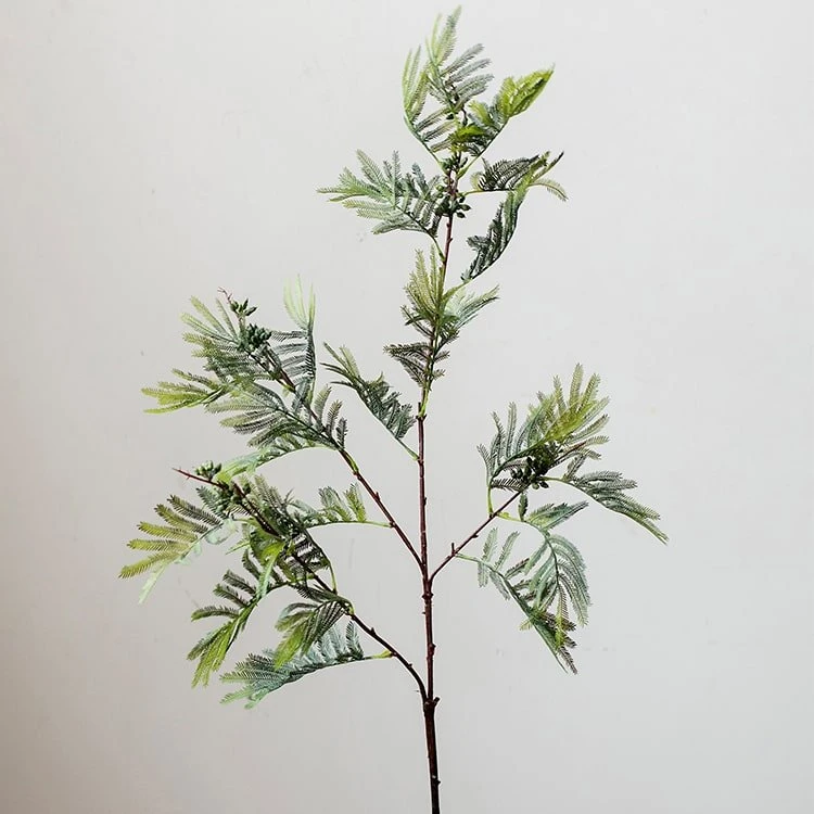 Artificial Faux Acacia Plant Stem 47" Tall 11 Artificial Faux Acacia Plant Stem 47" Tall - Image 9
