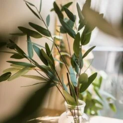Artificial Faux Eucalyptus Leaf In Various Shapes -Eds Plant Shop artificial faux eucalyptus leaf in various shapes 370859