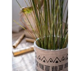 Artificial Faux Rough Horsetail Plant Long Stem 54" Tall 14 Artificial Faux Rough Horsetail Plant Long Stem 54" Tall -Eds Plant Shop artificial faux rough horsetail plant long stem 54 tall 617488