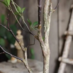 Green Leaf Faux Tree In Pot – 5′ & 6′ Handmade Silk Plant -Eds Plant Shop artificial green leaf faux tree in pot 312763