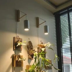 Aspect™ Grow Light Gift Set (Large) – Style And Superior Plant Care -Eds Plant Shop aspect grow light gift set large style and superior plant care 120903