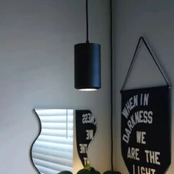 Aspect Growlight | Pendant Style LED Indoor Plant Light -Eds Plant Shop aspect growlight pendant style led indoor plant light 165036