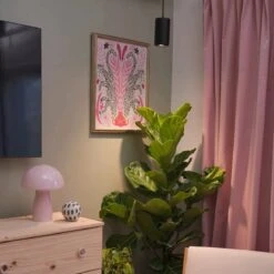 Aspect Growlight | Pendant Style LED Indoor Plant Light -Eds Plant Shop aspect growlight pendant style led indoor plant light 634718