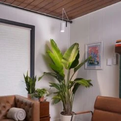 Aspect Growlight | Pendant Style LED Indoor Plant Light -Eds Plant Shop aspect growlight pendant style led indoor plant light 866533
