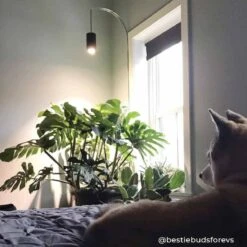 Aspect™ LED Grow Light Starter Set – Grow In Style -Eds Plant Shop aspect led grow light starter set grow in style 166002