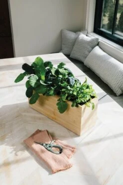 Bamboo Smart Hydroplanter 12 Bamboo Smart Hydroplanter -Eds Plant Shop bamboo smart hydroplanter 194105