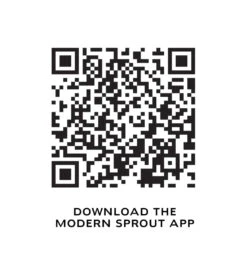 Bamboo Smart Hydroplanter 13 Bamboo Smart Hydroplanter -Eds Plant Shop bamboo smart hydroplanter 525516