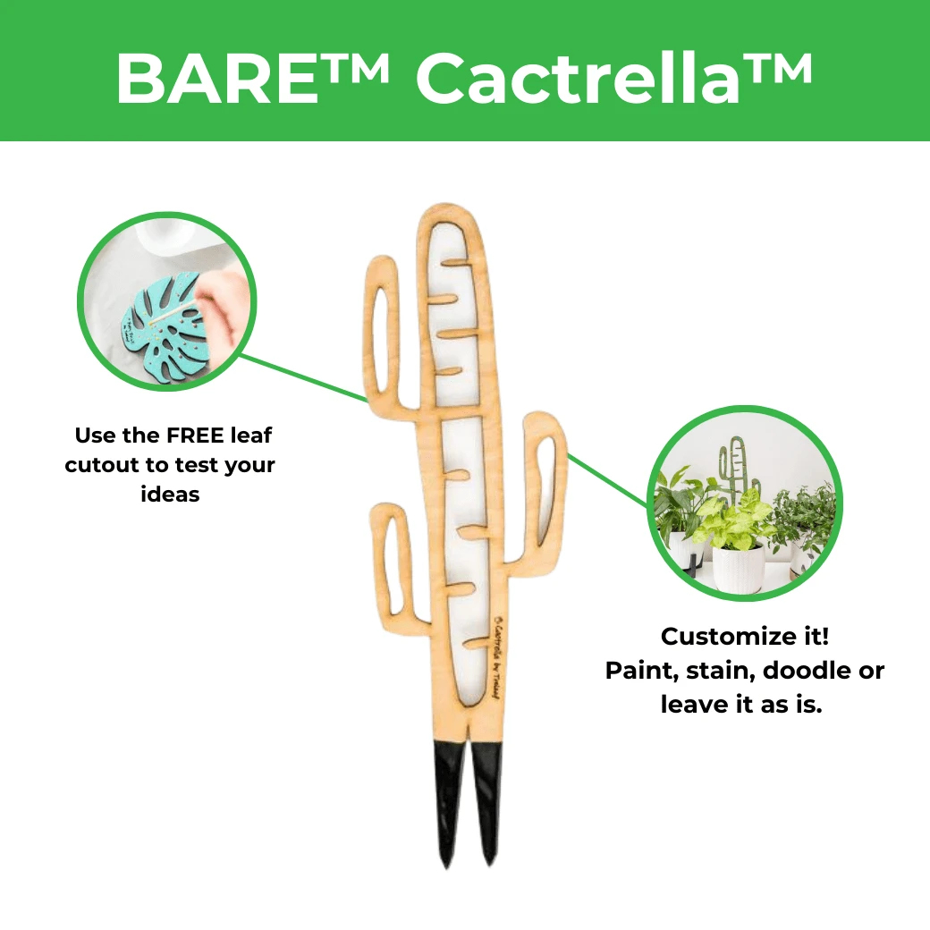 BARE™ Cactrella™ - Customizable Wooden Plant Support - Inspired By The Barrel Cactus 8 BARE™ Cactrella™ - Customizable Wooden Plant Support - Inspired By The Barrel Cactus - Image 6