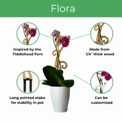 BARE™ Flora™ – Customizable Wooden Floral Plant Trellis For Indoor Climbing Plants -Eds Plant Shop bare flora customizable wooden floral plant trellis for indoor climbing plants 7029792