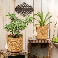 Basket Weave Cement Planter - Various Sizes 14 Basket Weave Cement Planter - Various Sizes -Eds Plant Shop basket weave cement planter various sizes 212091
