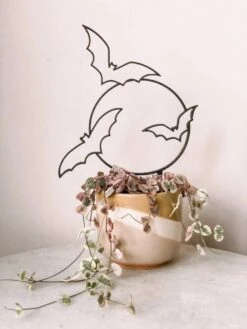 Bats Houseplant Trellis 8 Bats Houseplant Trellis -Eds Plant Shop bats houseplant trellis 798501