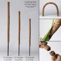 Bendable & Stackable Coco Coir Pole: Support For Climbing Plants -Eds Plant Shop bendable stackable coco coir pole support for climbing plants 403786