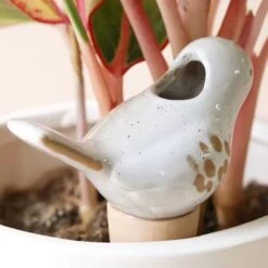 Bird Plant Self Watering Spike -Eds Plant Shop bird plant self watering spike 923775