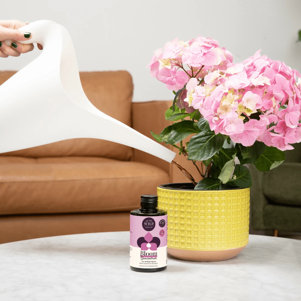 Bloom Concentrate (8 Fl Oz) 4 Bloom Concentrate (8 Fl Oz) - Image 2