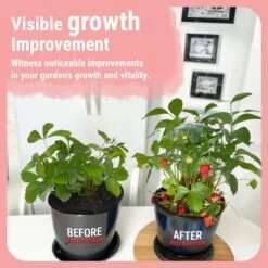 Bud Booster | Bigger Buds And Increased Yields -Eds Plant Shop bud booster bigger buds and increased yields 601336