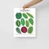 Calathea Species ID Chart - Botanical Houseplant Art Print -Eds Plant Shop calathea species id chart botanical houseplant art print 677029