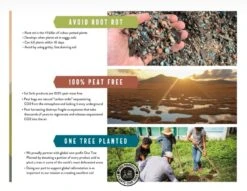 Calcined Clay – Premium Soil Amendment For Indoor Plants -Eds Plant Shop calcined clay premium soil amendment for indoor plants 638169