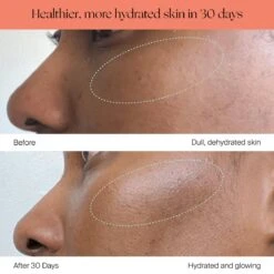 Canopy Large Room Humidifier: Hydrate Plants, Skin & Space -Eds Plant Shop canopy large room humidifier hydrate plants skin space 106932