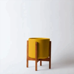 Ceramic Cylinder Planter By Solid Goods With Optional Mahogany Stand 35 Ceramic Cylinder Planter By Solid Goods With Optional Mahogany Stand -Eds Plant Shop ceramic cylinder planter by solid goods with optional mahogany stand 1193708