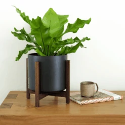 Ceramic Cylinder Planter By Solid Goods With Optional Mahogany Stand 30 Ceramic Cylinder Planter By Solid Goods With Optional Mahogany Stand -Eds Plant Shop ceramic cylinder planter by solid goods with optional mahogany stand 3361831